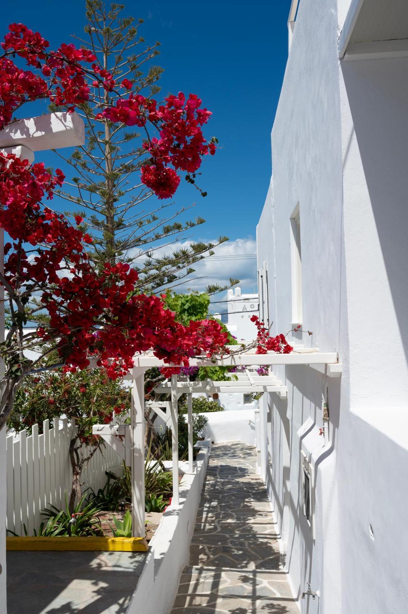 Boutique Di Vito Hotel Mykonos Town Eksteriør billede