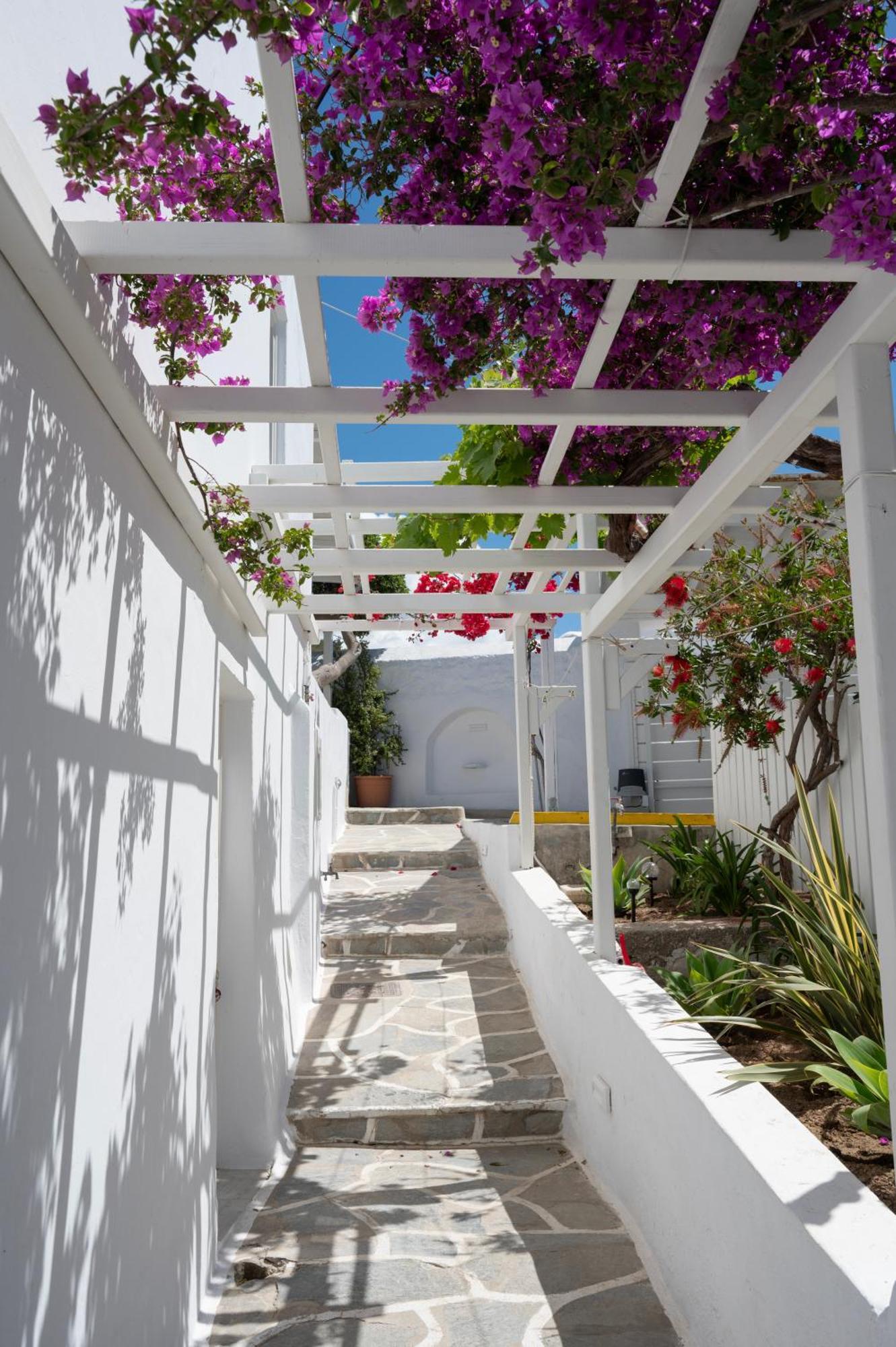 Boutique Di Vito Hotel Mykonos Town Eksteriør billede